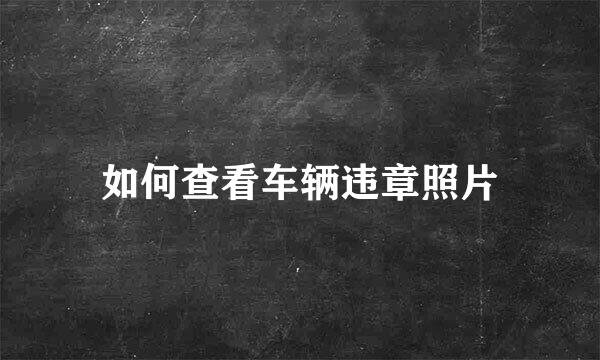 如何查看车辆违章照片