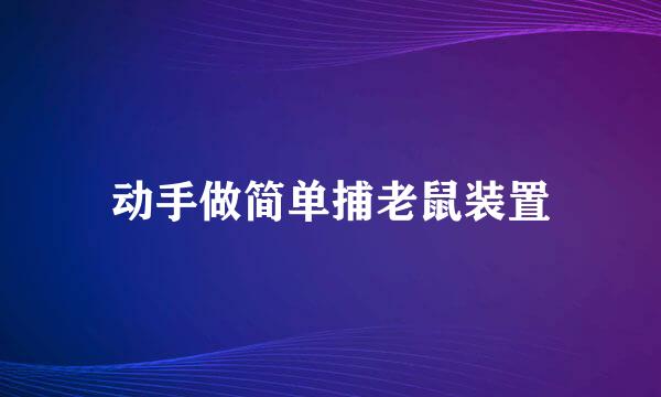 动手做简单捕老鼠装置