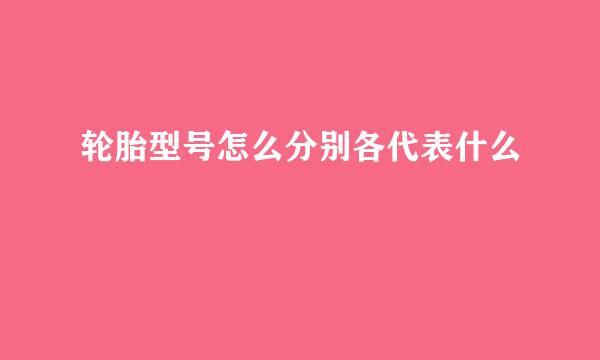 轮胎型号怎么分别各代表什么