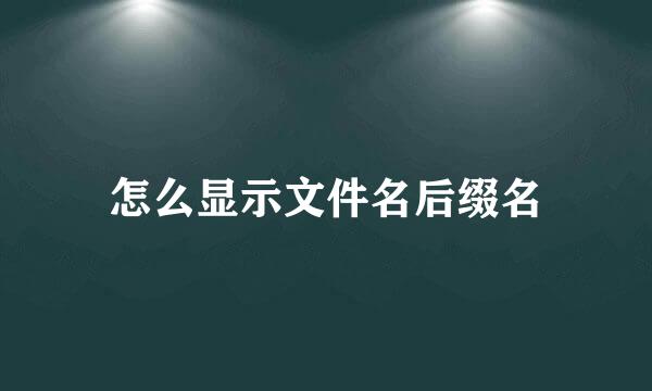 怎么显示文件名后缀名