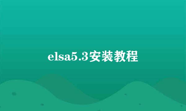 elsa5.3安装教程