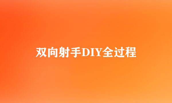 双向射手DIY全过程