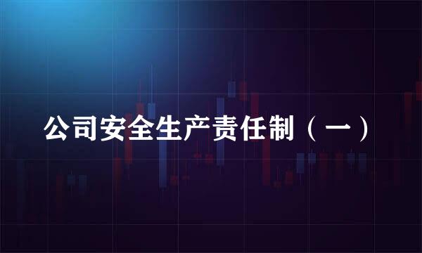 公司安全生产责任制（一）