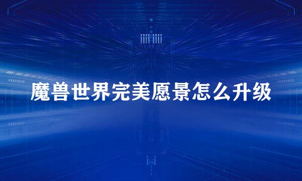 魔兽世界完美愿景怎么升级