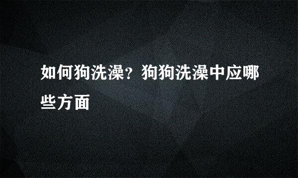 如何狗洗澡？狗狗洗澡中应哪些方面