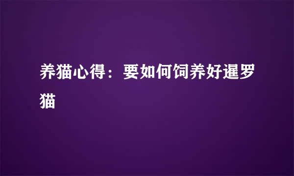 养猫心得：要如何饲养好暹罗猫