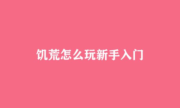 饥荒怎么玩新手入门
