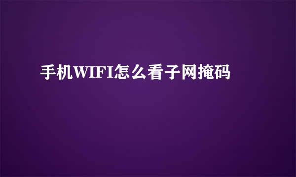 手机WIFI怎么看子网掩码