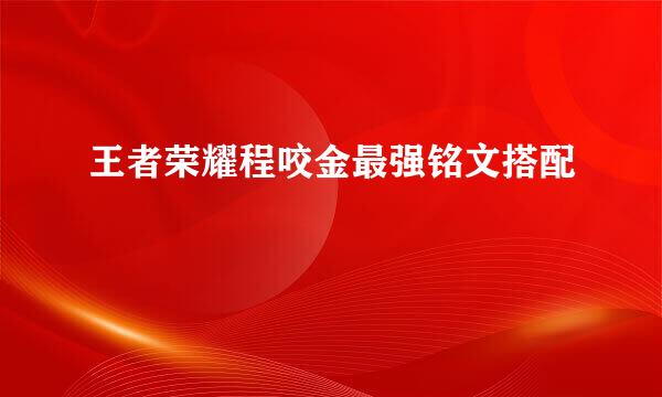 王者荣耀程咬金最强铭文搭配