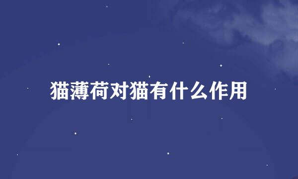 猫薄荷对猫有什么作用