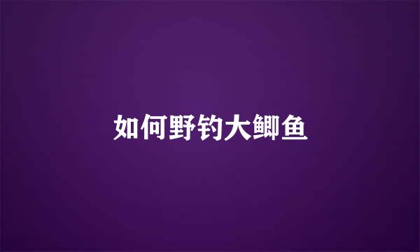 如何野钓大鲫鱼