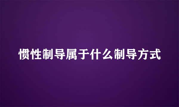 惯性制导属于什么制导方式