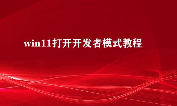 win11打开开发者模式教程