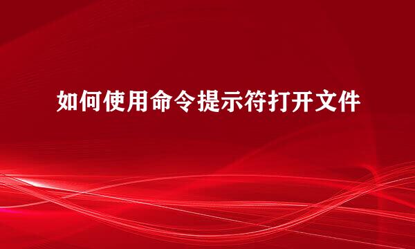 如何使用命令提示符打开文件