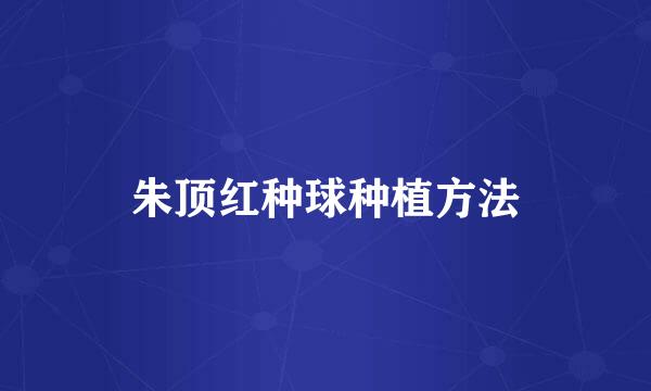 朱顶红种球种植方法
