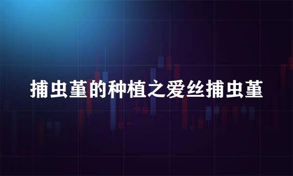 捕虫堇的种植之爱丝捕虫堇