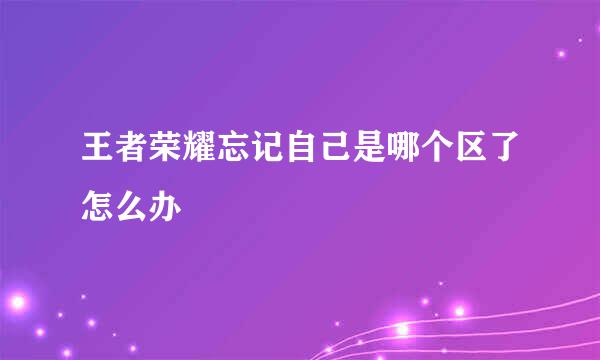 王者荣耀忘记自己是哪个区了怎么办