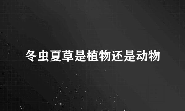 冬虫夏草是植物还是动物