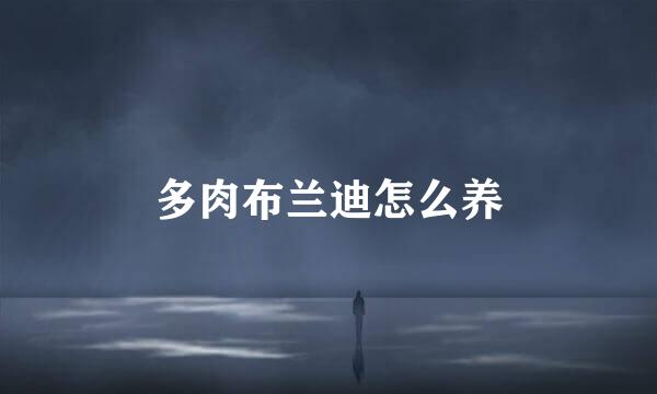 多肉布兰迪怎么养
