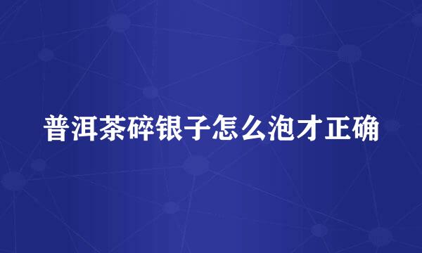 普洱茶碎银子怎么泡才正确