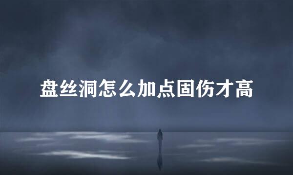 盘丝洞怎么加点固伤才高