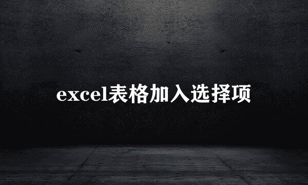 excel表格加入选择项
