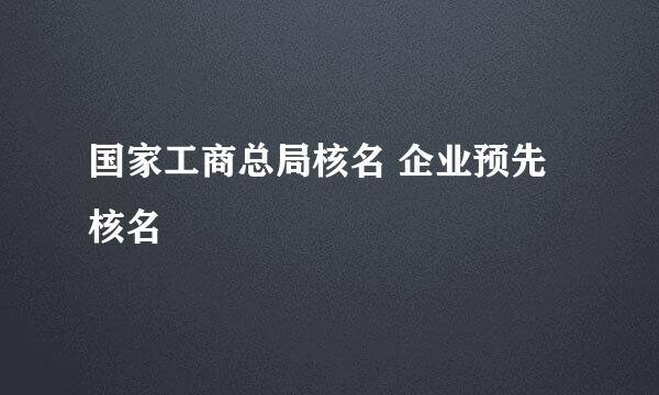 国家工商总局核名 企业预先核名
