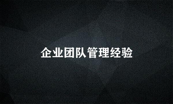 企业团队管理经验