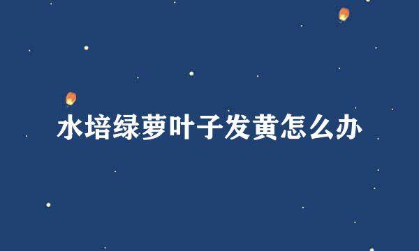 水培绿萝叶子发黄怎么办