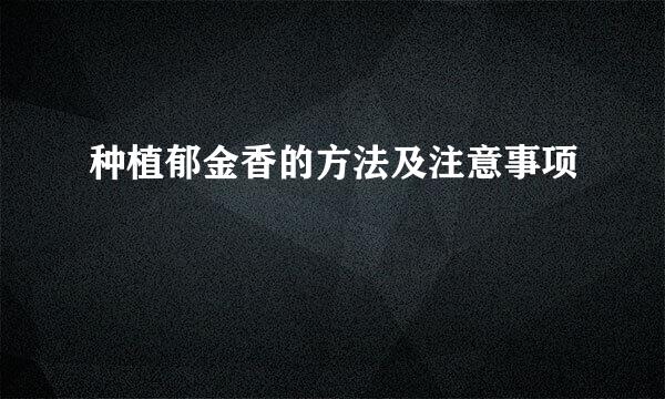 种植郁金香的方法及注意事项