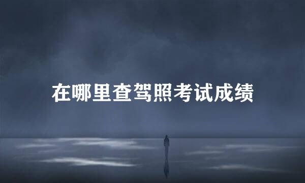 在哪里查驾照考试成绩