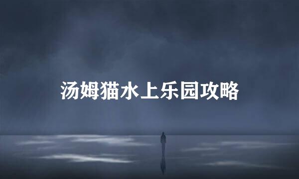 汤姆猫水上乐园攻略