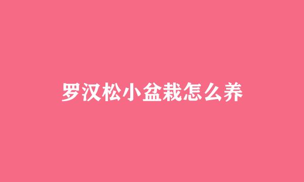 罗汉松小盆栽怎么养