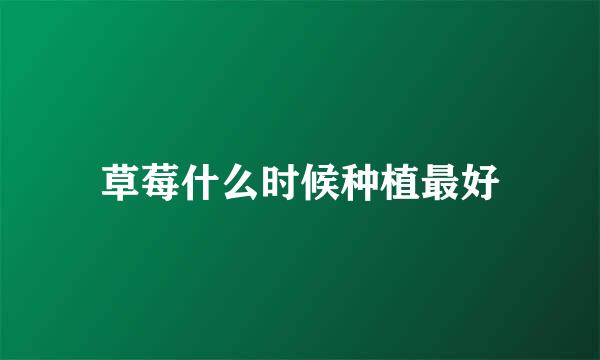 草莓什么时候种植最好