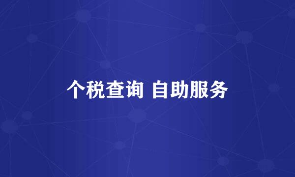 个税查询 自助服务