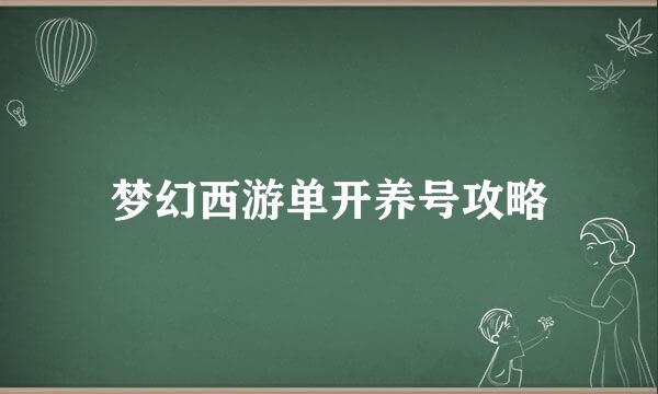 梦幻西游单开养号攻略