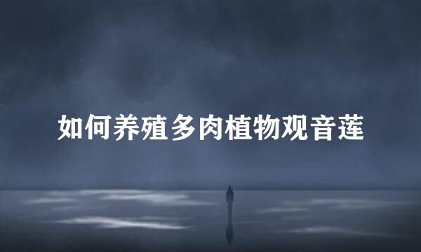 如何养殖多肉植物观音莲
