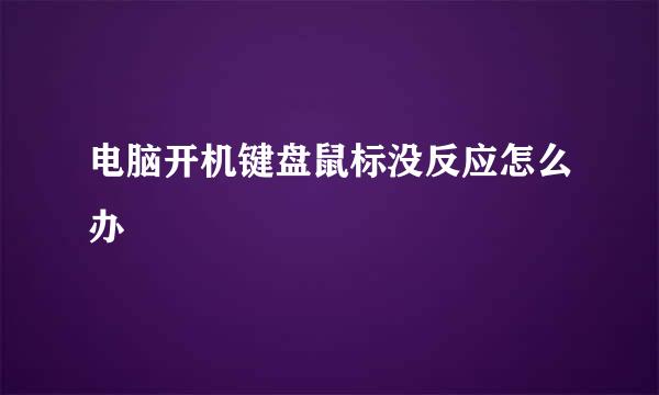 电脑开机键盘鼠标没反应怎么办