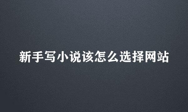 新手写小说该怎么选择网站