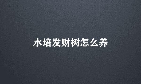 水培发财树怎么养