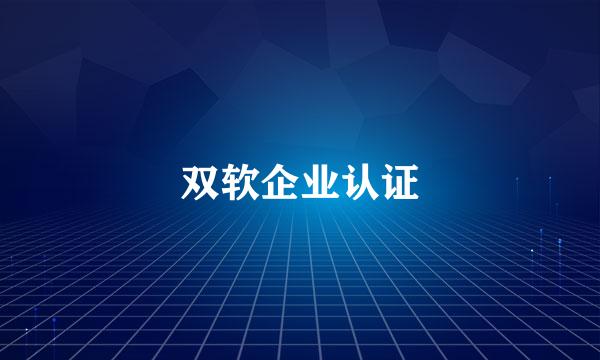 双软企业认证