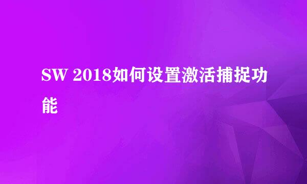 SW 2018如何设置激活捕捉功能