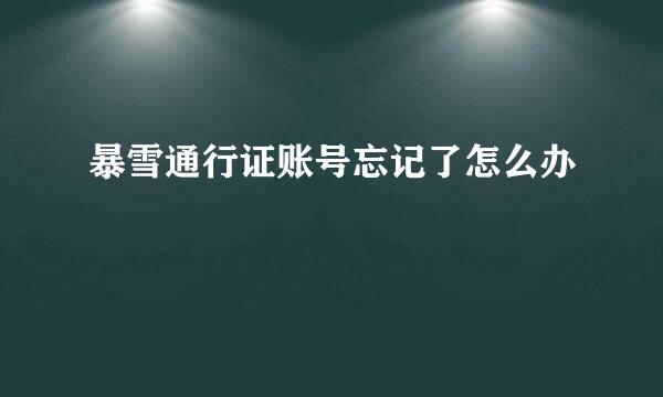 暴雪通行证账号忘记了怎么办