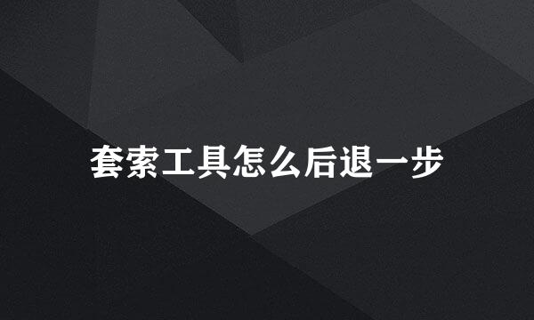套索工具怎么后退一步
