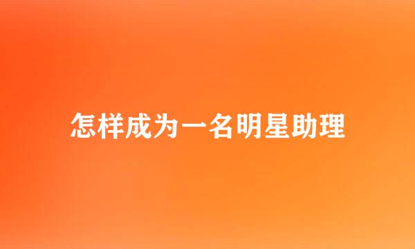 怎样成为一名明星助理