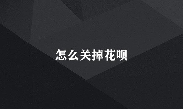 怎么关掉花呗