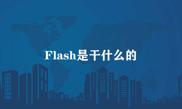 Flash是干什么的