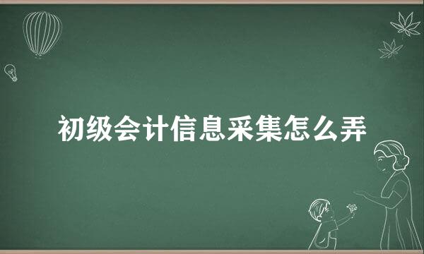 初级会计信息采集怎么弄