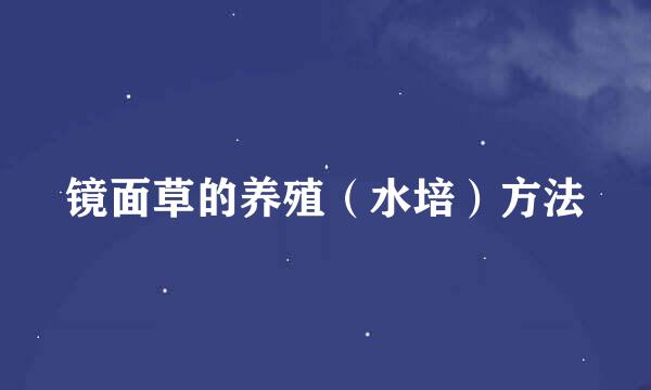 镜面草的养殖（水培）方法