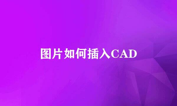 图片如何插入CAD